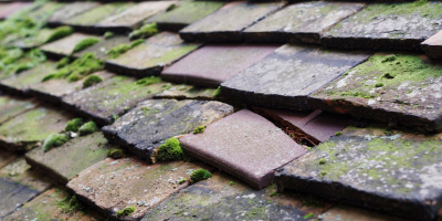 Mepal roof repair costs